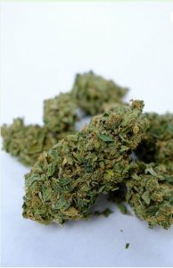 FatraHemp CBD šišky 20 %